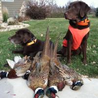 Brian Miller (@niubb21) 's Twitter Profile Photo