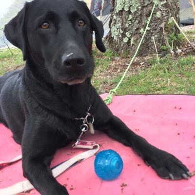 marcia63590130's profile picture. 