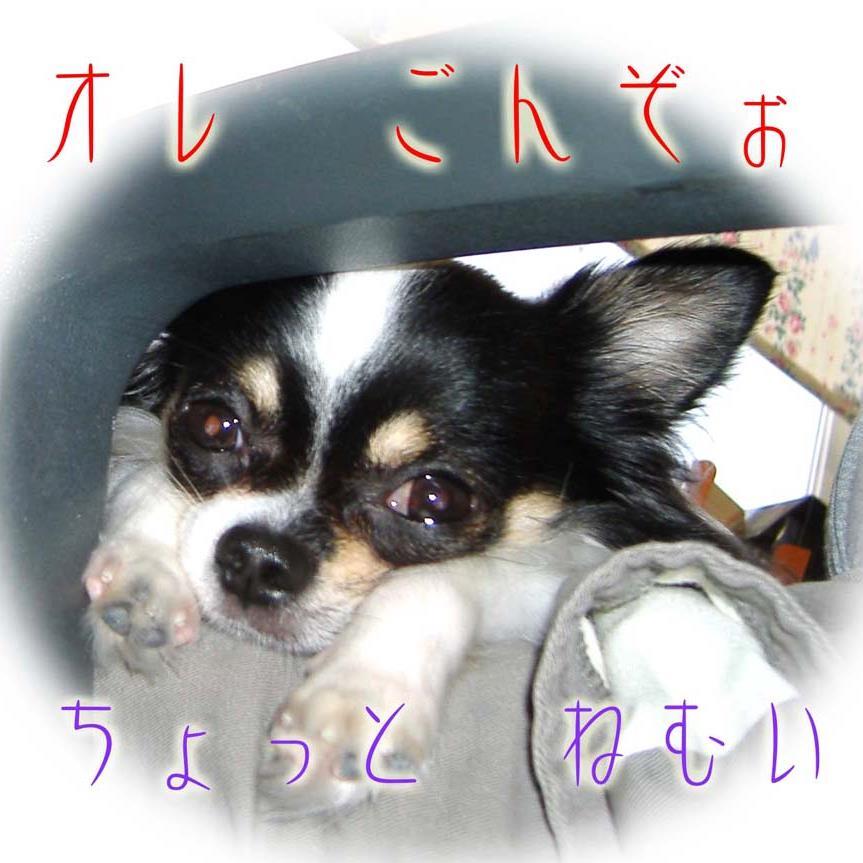 mr_pengin's profile picture. 1994年カントリー雑貨店オープン。手作りオーダーメード品を制作、1996年 木製品とガラスとのコラボを創作その後、オーダーメードにこだわりガラス彫刻専門に制作。
いろんな人と色々なお話をして人生に栄養を・・・と思っている60代の青年です（笑）