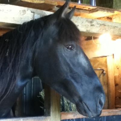 I'm a goofy, tough, country girl. My sport is shooting guns and riding horses (At the same time). So yeah, not a good idea to mess with me and my friends. :)