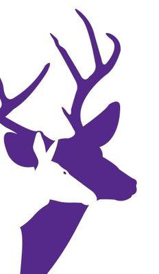 BeautyNTheBuck Profile Picture
