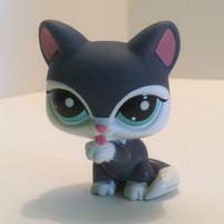 I am a LPS Collector :)