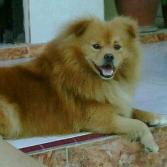 Oscar268_Liu's profile picture. ♥ Oscar Liu ♥