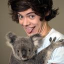 dayra cruz 1D  - @nora9corona2 - Twitter