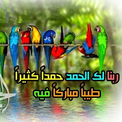 _kazmer Profile Picture
