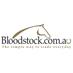 Bloodstock.com.au (@bloodstockcomau) Twitter profile photo Bloodstock.com.au (@bloodstockcomau) Twitter profile photo