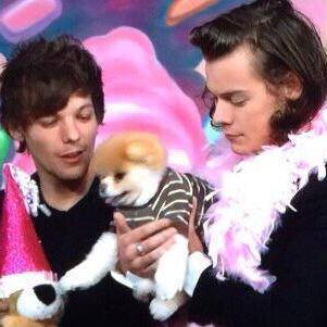 ✨☝Larry is real, get over it.♡✌⚡➳♥