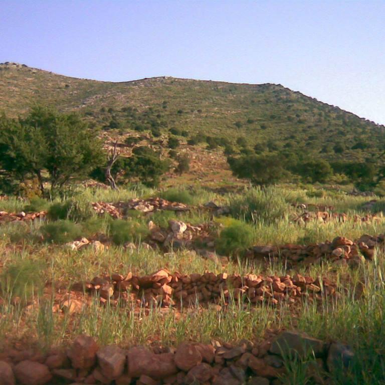 assa3ada123's profile picture. 