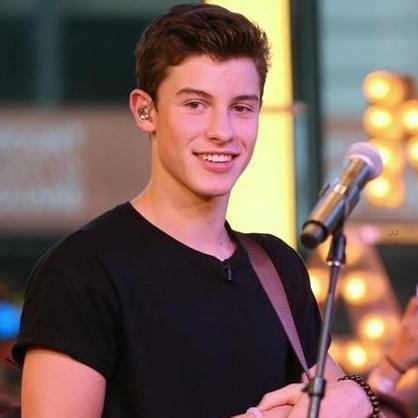 Basically a #Harmonizer #VAMPETTE #5SOS #Directioner #JCat #ShawnMendes #StereoKicks fan. Also LOVE new talent TRENT BELL