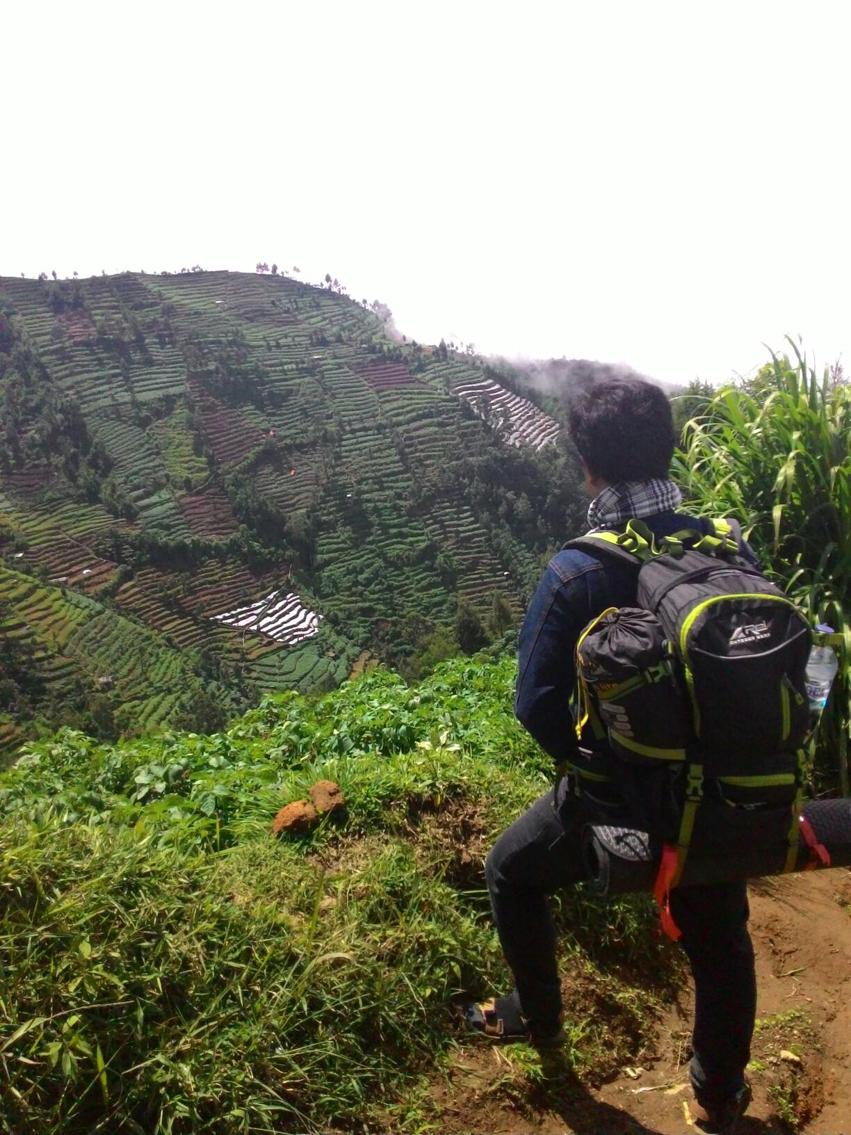 vanbotam's profile picture. Bismillah