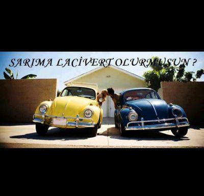 c6e080653dab450's profile picture. 