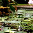 Marc Clemente Pascua - @clementepascual - Twitter