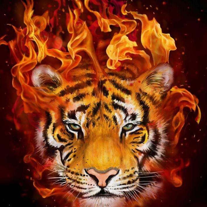 shrenay1's profile picture. 