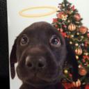 Jon sells - @sells_2 - Twitter