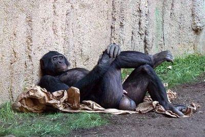 gabrielruizgabi's profile picture. 