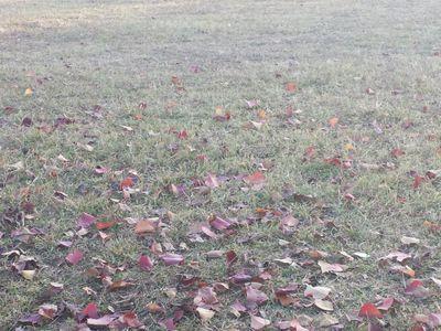 PML_LION1's profile picture. A simple n sensitive human being!