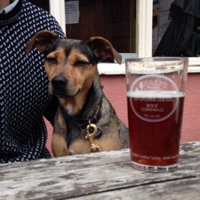I spend my time in search of dog friendly pubs and travelling in my trailer behind a tandem. It's awesome when the pub has treats so I'll tell you about it!