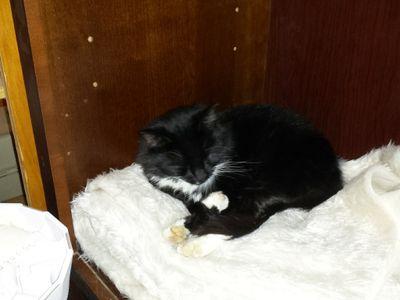 mlhrobinson's profile picture. 