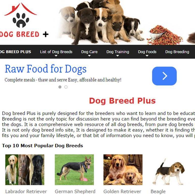 All Dog Breeds,Dog Care,Dog Training,Dog Food,Dog Breeding,Dog Contest ,Dod Categories