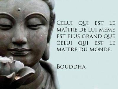 LaTeamAlex's profile picture. Follow me! #unmondemeilleur #paix #amour #imprimerlefutur #façonnerlavenir LaTeamAlex pour le meilleur et pour le pire