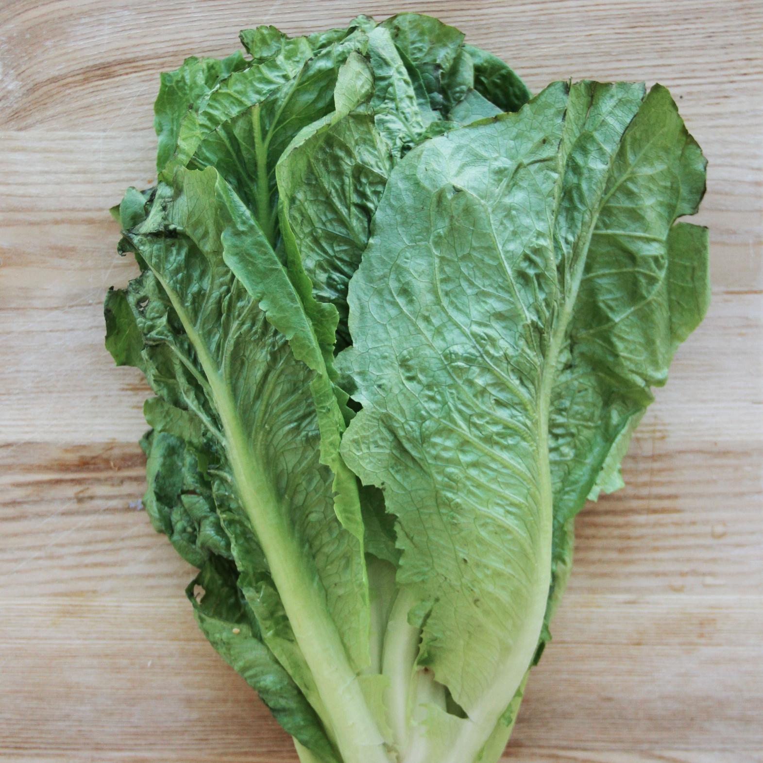 MakeASaladNYUAD's profile picture. 