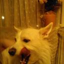 Emma Steer - @emmasteer27 - Twitter