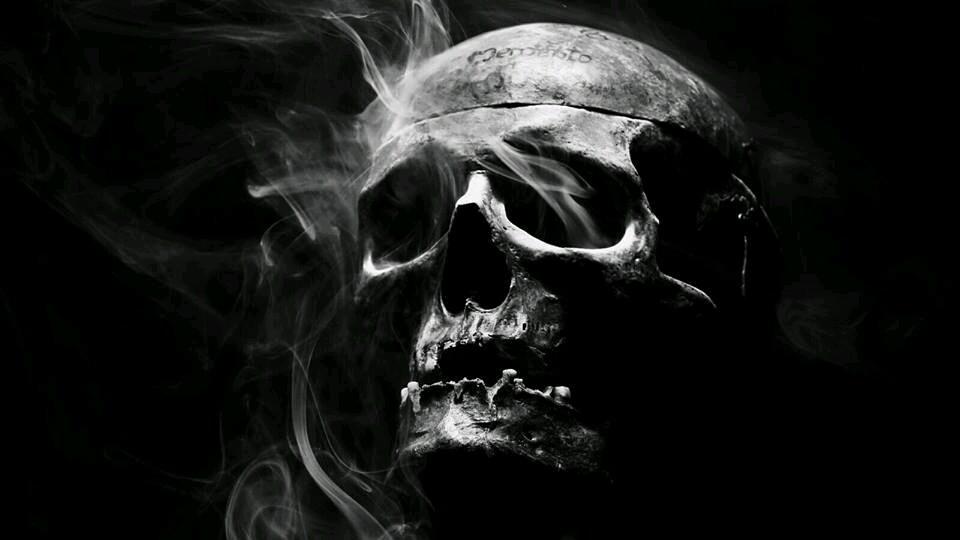 txepq's profile picture. 