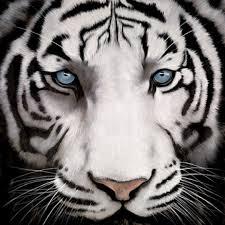 BurkePea's profile picture. 