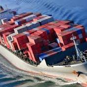 BluelineL's profile picture. 