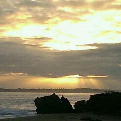 taranrekhi1's profile picture. 