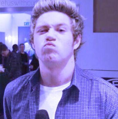 niall fucking horan
