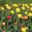 Lorraine Tierney - @just4lorraine - Twitter