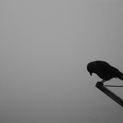 Live what life brings you and die what death comes.