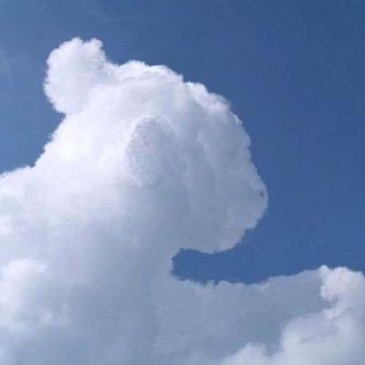 くまぐま