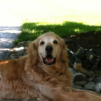 RossFritz's profile picture. RWF61