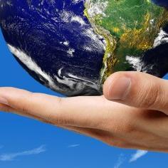 media_leo_shop's profile picture. 