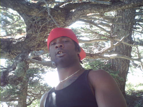 krazykidkhaos's profile picture. 