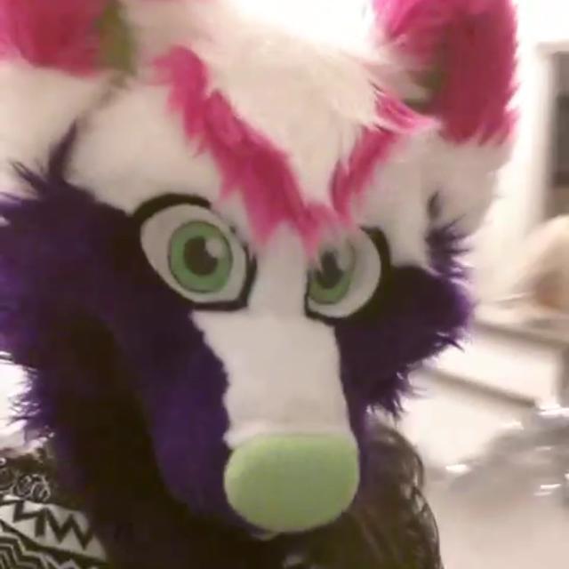 PoppyLlama's profile picture. Hellur! I am Poppy the wusky! Welcome to ma Twitter ^o^ have a good day!