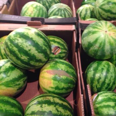 thdrvndrlns's profile picture. 