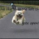 Kathie Morris - @MorrisKathie - Twitter