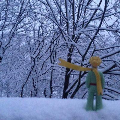 Orgullosa Magallanica... Vivir mi vida lalalala... Amo el viento y el frio!!!!