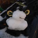 Jo Fraser - @jjbcustard - Twitter