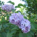 JoAnn Sylvester - @jo_i_m - Twitter