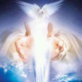 OversizeMoney's profile picture. 