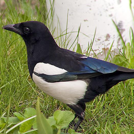 Sourcer_7_X's profile picture. 