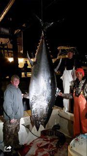 const_michael's profile picture. 