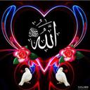 Zabiullah Naseri (@592b924d4ade44e) Twitter