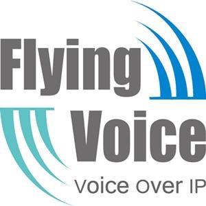 info@flyingvoice.es