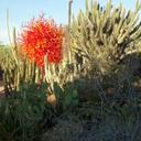 Sandra Batchelor - @sbatchelor3 - Twitter