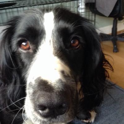 1964henry's profile picture. Gunner, Grecian and Chief.